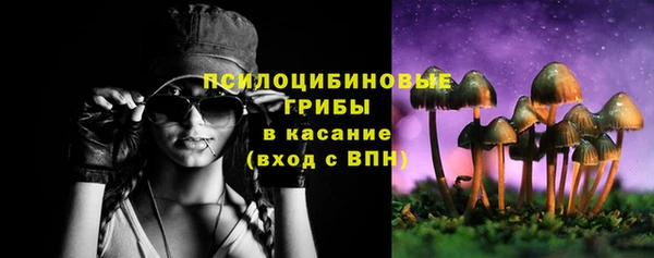 Альфа ПВП Валдай