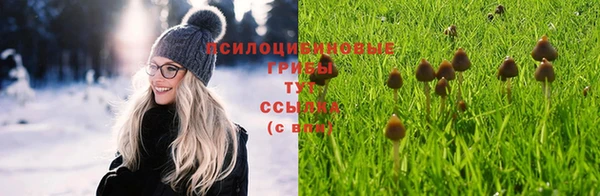 прущая мука Переславль-Залесский