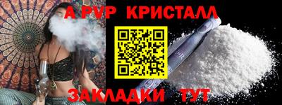 стаф Донской