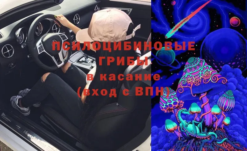 Псилоцибиновые грибы Magic Shrooms  купить наркотик  Нальчик 